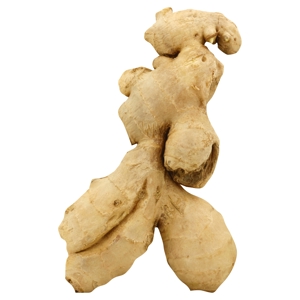 Jengibre / Ginger, Root