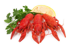 Cangrejo Rio /Crawfish