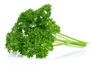 Perejil / Parsley