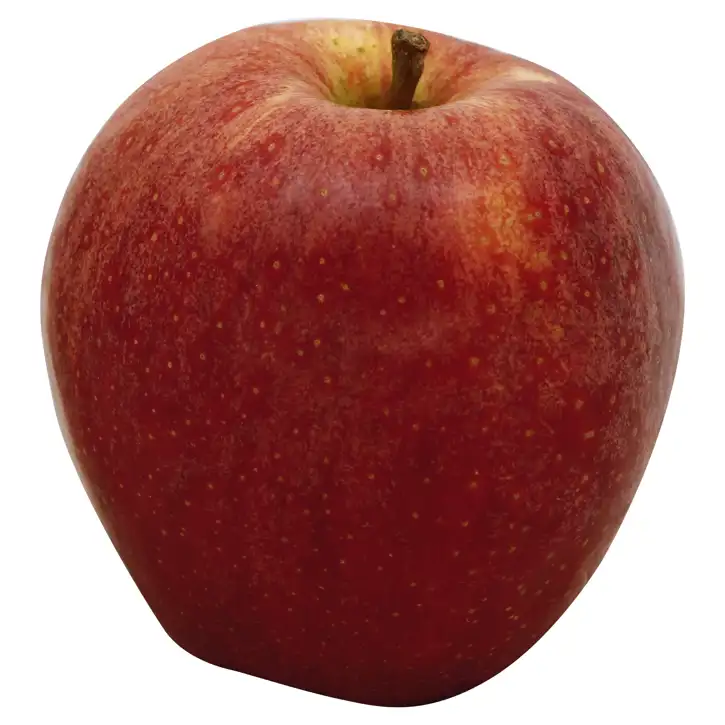 My Products – #88 Biloxi – Apple, Gala, Extra Fancy, Washington (each)