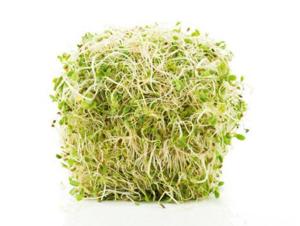 Solfi Sprouts Organic Alfalfa Sprouts, 3.5 oz