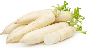 Radish Daikon Japan / Rabano