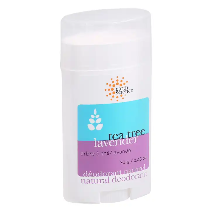 pachira money tree feng shui XL Potted Pachira Money Tree | 150180cm