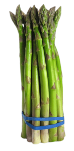 Esparragos / Asparagus