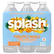 Splash Blast, Raspberry Flavor Water Beverage, 16.9 Fl Oz Plastic