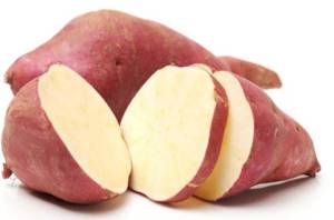Camote Boniato / Yam