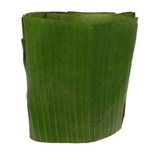 Hoja de Platano / Banana Leaf