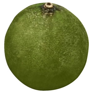 Limon, Mexico / Lime, Key
