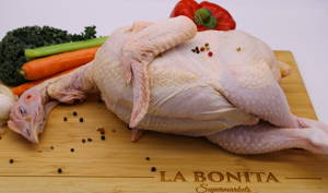 Gallina India