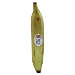 Platano, Macho / Plantain, Macho