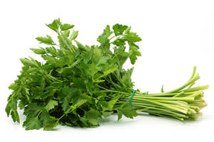 Perejil / Parsley Italian