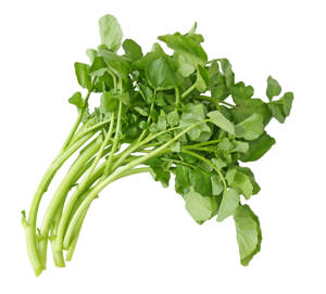Berro / Watercress