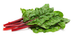 Acelga Roja / Red Chard