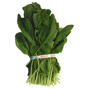 Espinaca / Spinach
