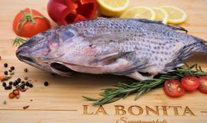Mojarra entera/Whole Tilapia