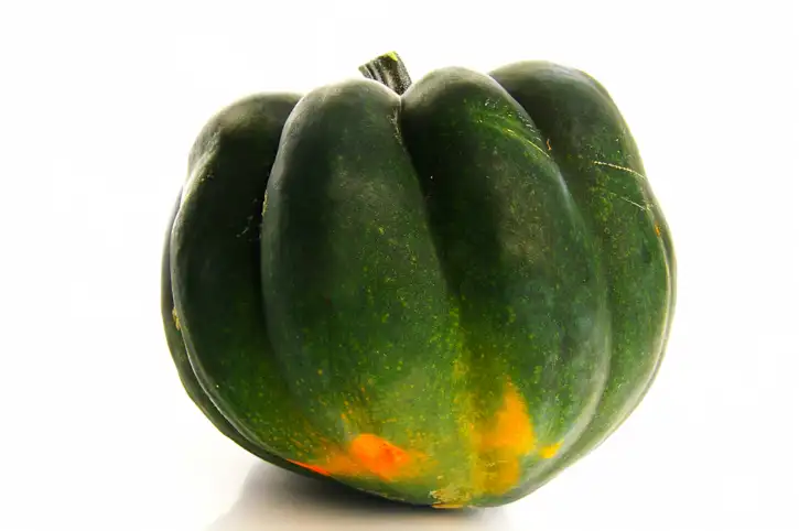 Acorn Squash | Nino Salvaggio Troy, MI