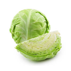 Cabbage Green / Repollo Verde