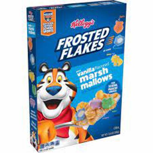 Buy Kellogg'S Frosted Flakes Chocolate Cereal ( 369g / 13.2oz