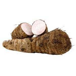 Malanga