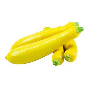 Yellow Squash / Calabaza Amarilla