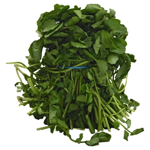 Berro / Watercress