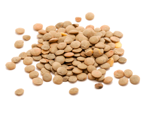 Lenteja /Lentils