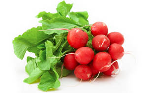 Radish Bunch / Rabanos Bunche