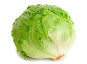 Lechuga / Lettuce