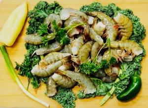 Camaron Blanco / White Shrimp 31-35CT