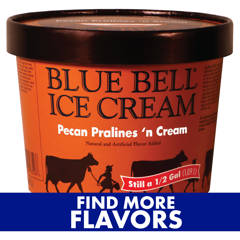 Bluebell！！ Pecan Pralines 'n Cream | Blue Bell Ice Cream