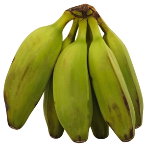 Platano, Burro / Banana, Burro