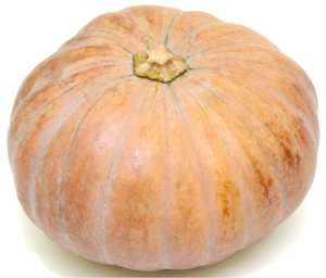 Calabaza de Castilla / Squash, Calabaza