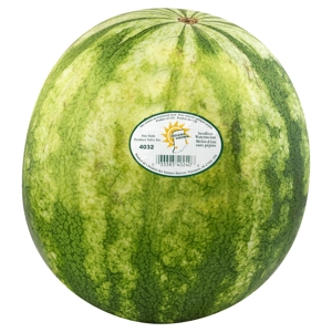 Sandia, Sin Semilla / Watermelon, Seedless