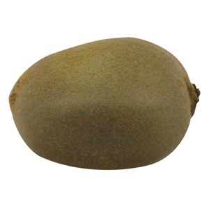 Kiwi Fruit