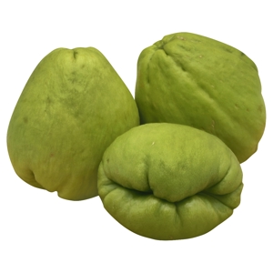 Chayote / Squash