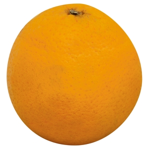 Naranja / Orange, Valencia