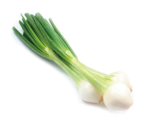 Cebollita Mexicana