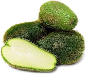 Squash / Chayote Espina