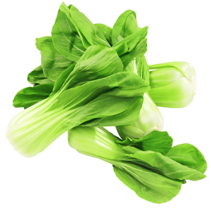 Bok Choy