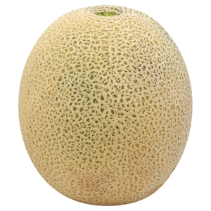 Melon, Chino / Cantaloupe