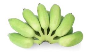 Banana / Platano Burro