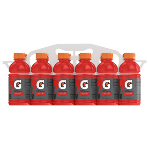 Gatorade Thirst Quencher, Fruit Punch, 12 - 12 fl oz (355 ml) bottles
