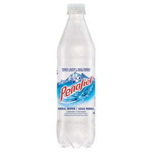 Penafiel Mineral Water, Carbonated, 20.3 fl oz (1.27 pt) 600 ml