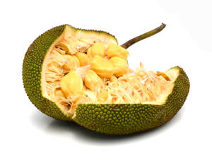 Jackfruit / Yaka