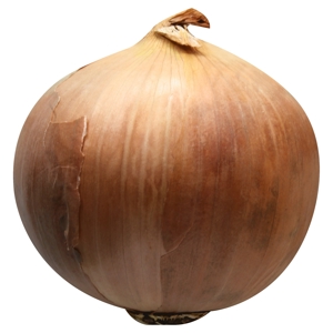 Cebolla, Cafe / Onion, Brown