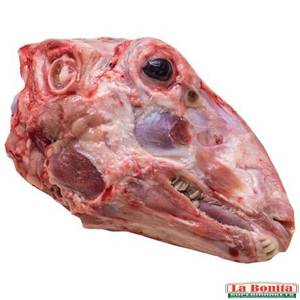 Cabeza De Borrego