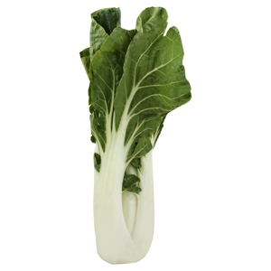 Repollo / Bok Choy
