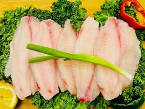 Filete De Tilapia / Tilapia Fillet