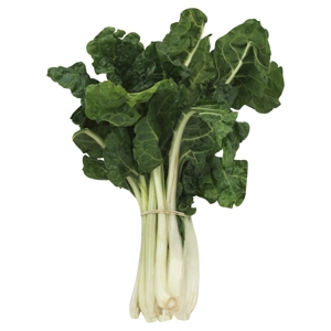 Acelga / Swiss Chard, Green