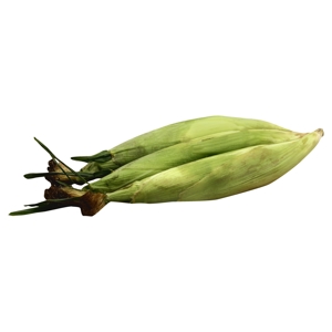 Elote / Corn, White